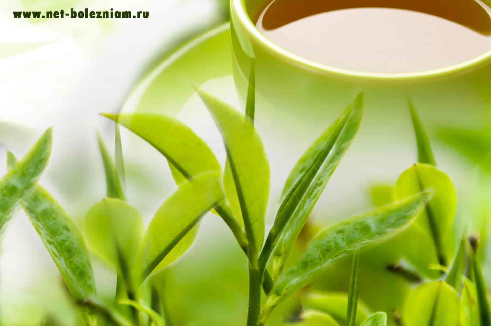 Зелёный чай - прекрасный напиток для похудения