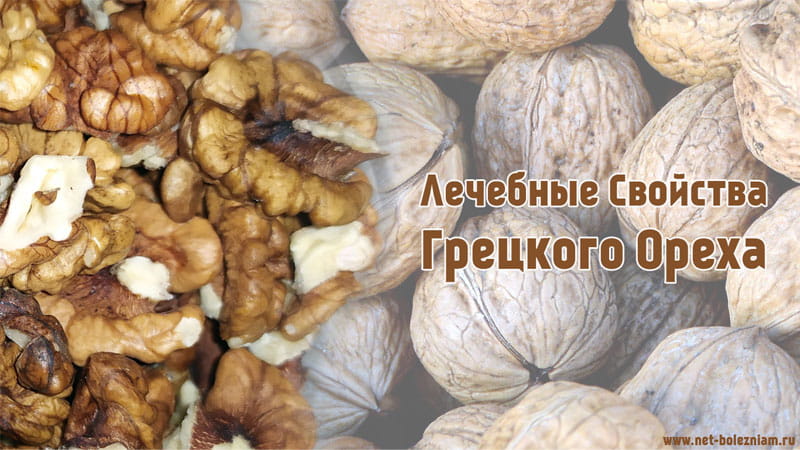 Лечебные свойства грецкого ореха